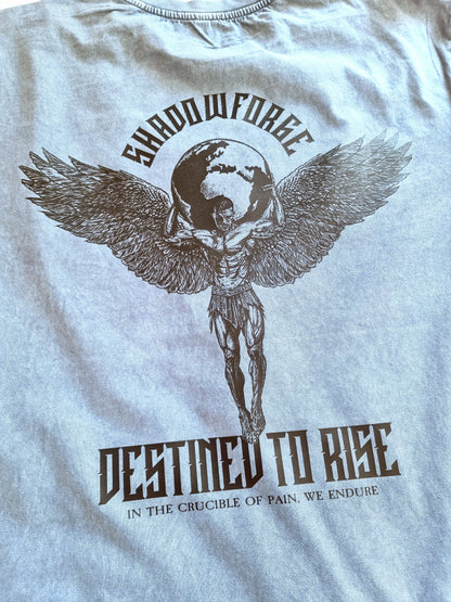 DESTINED TO RISE ATLAS ACIDWASH OVERSIZE T-SHIRT